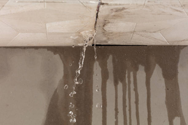 Professional Burst Pipe Cleanup technician working in Hardwick, MN